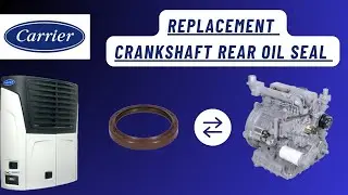 Replacement rear main seal Carrier unit.