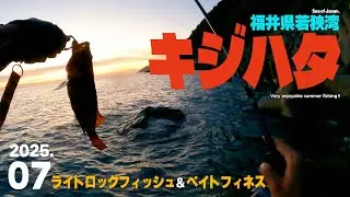 真夏の「キジハタ」に挑む。福井県若狭湾のライトロックフィッシュ！