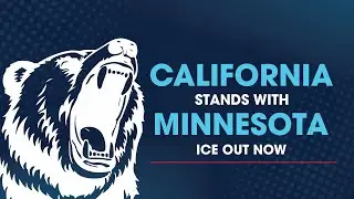 Assembly and Senate Leaders Unite in Solidarity with Minnesota Against ICE Violence