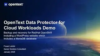 OpenText Data Protector for Cloud Workloads and RedHat OpenShift demo including a WordPress website