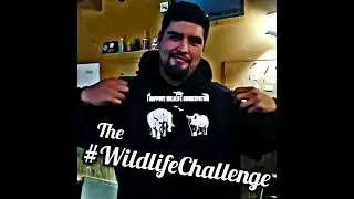 Edward's first #WildlifeChallenge! Eating in to help support wildlife? :)