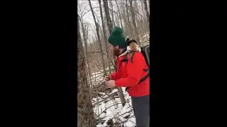 Owner Takes His Cat Out For A Hiking Adventure In Snow And She Was Fearless