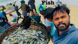 Wow 😮 fishing 🎣 season starts |palamunai|Hafeeth Vlogs 