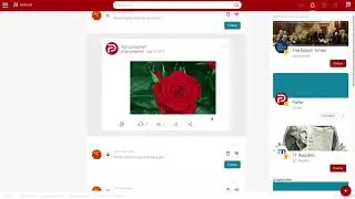 Parler 101: How To Navigate Notifications (Desktop Version)