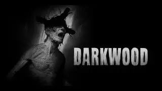 Darkwood — выживание в лесу, где ночь сильнее