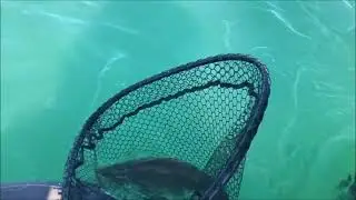 Upper Niagara River Winter Walleye bite Feb, 26 2021