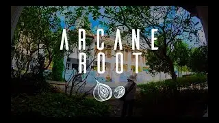 AWC x Allison M. Low | Arcane Root | Set up
