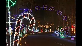 Anderson Lights of Hope Celebrate Results of 2025 Seasoh