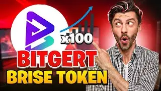 I've recently added Bitgert to my crypto portfolio, it presents an opportunity for a 1000x return
