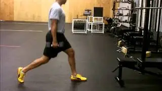 Dumbbell Split Squat