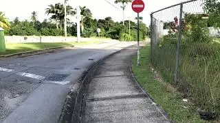 Welchman Hall St. Thomas Barbados 🇧🇧 2
