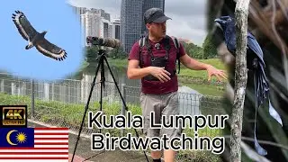 Kuala Lumpur Malaysia Birdwatching part 4, Forest Eco Canopy Walk, Sungai Bunus Retention Pond. KLCC