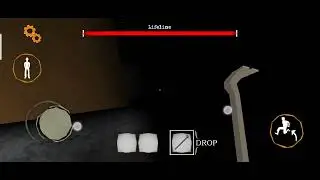 top tricks the twins withou cutting light in electrical  door