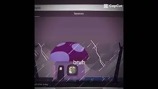 google frog weather  thunderstorm vs normal rain