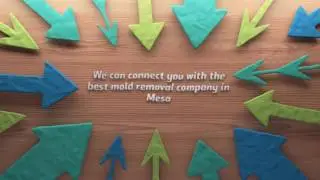 Mold Inspection & Mold Removal Mesa AZ | Call (480) 405-5355