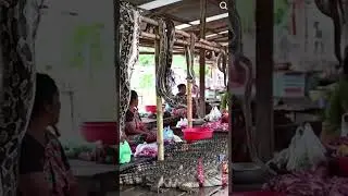 Inside the Traditional Market Exotic Animal Market.@darmawanfood-ai