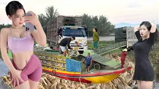 A close-up look at how duck farmers earn billions of dong a year &ndash; truly incredible!