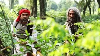 SHERDIL -THE PILIBHIT SAGA | PANKAJ TRIPATHI |SRIJIT MUKHERJI |BOLLYWOOD MOVIE |KING ENTERTAINMENTTV