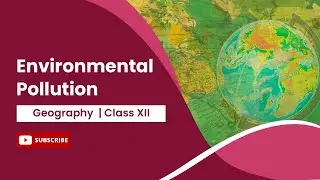Environmental Pollution | Geography | Class 12