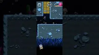 Super Mario Run | Toad Rally