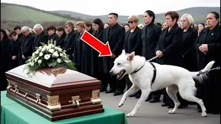 A Military Officer&rsquo;s Coffin Was Opened&hellip; They Couldn&rsquo;t Believe Their Eyes!