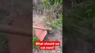 Extremely satisfying slashing / cutting stuff... brush cutting asmr Part1