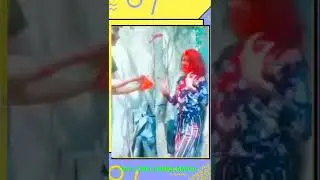 Hoil funny video | Holi funny memes 🤣