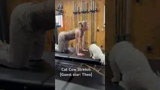 Cat Cow stretch