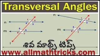 Transversal Angles of Geometry in telugu  | Angles formed by parallel lines and transversal Line
