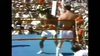 Ali Boxing vs Football and Lyle Alzado МУХАММЕД АЛИ