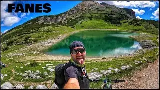 MTB FANES
