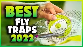 Top 5 Best Fly Traps You can Buy Right Now [2023]