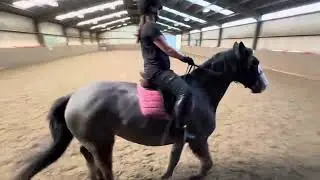 Lauren Bazley Apollos Secret Clyde Riding School League Prelim 2b December 2025