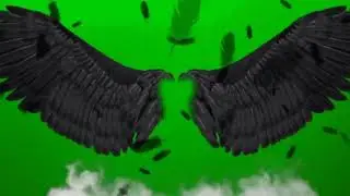 #short Green screen wings, Green screen devil wings, Green screen angle wings