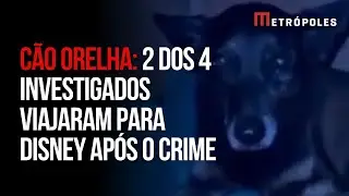 C&atilde;o Orelha: aeroporto tem seguran&ccedil;a refor&ccedil;ada para chegada de adolescentes