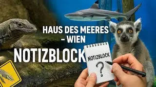 Das Haus des Meeres - Haie im Flak-Turm - Zoowelt &Ouml;sterreich