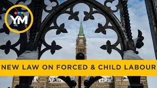 Canada&rsquo;s new law on forced and child labour | Your Morning