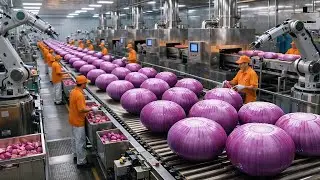 0Inside the onions Factory: From Raw Onions to crispy golden snack