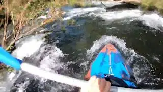 Mulgrave River