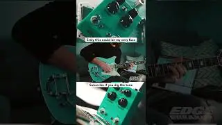 Srsly this could be my only fuzz // Cunningham Octave Fuzz // #guitarpedals #fuzz