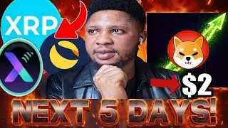Lunc, ShibaInu, Xpin To $2 What You Should Know!! Don't? |BitcoinProphecyPrediction | XpinProphecy