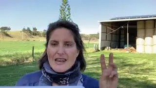 The Energy Experts - 5 Things to Know When Buying a Solar Power System