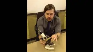 Microscope Basics