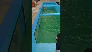 Container Swimming Pool: Structurally safe and reliable + Absolutely watertight + Low cost