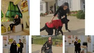 Adopted a dog| Going back to work place| Friend's Birthday.