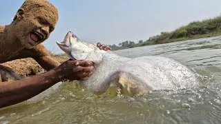 River Underwater big fishing video 2025. most popular sandman fishing.