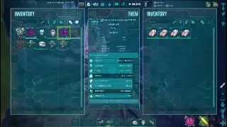 Alpha Moeder PvP Official