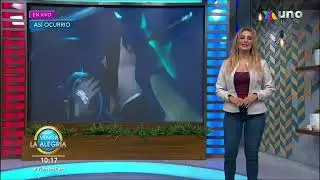 Anette Cuburu jeans entallados