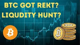 Bitcoin REKT? Economics on moon!