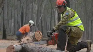 Road clearing in East Gippsland